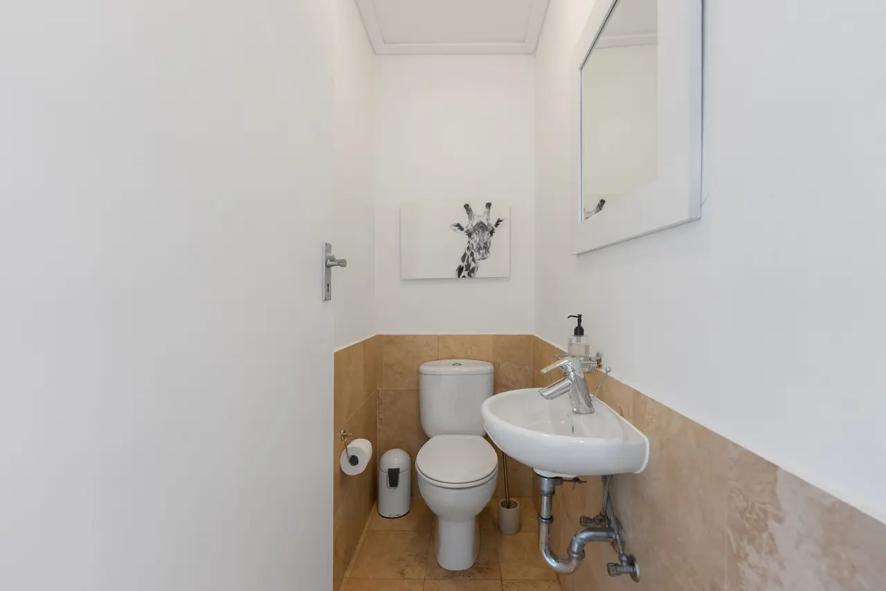 Downstairs guest toilet with basin and mirror